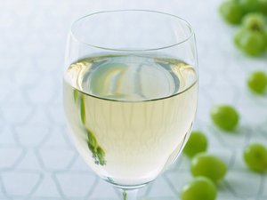 工具深度解析：原理与应用